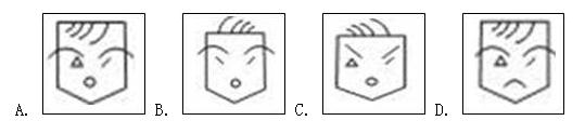 行测,历年真题,2006年贵州省公务员考试《行测》真题