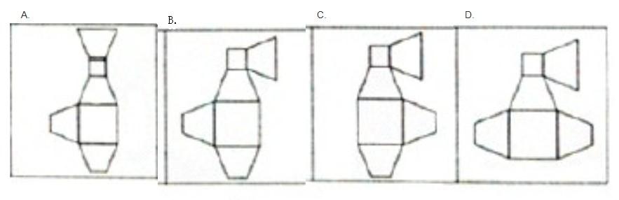 行测,历年真题,2009年内蒙古公务员考试《行测》真题