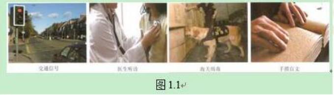 幼儿中小学面试,历年真题,教师资格证考试《小学信息技术专业面试》真题汇编