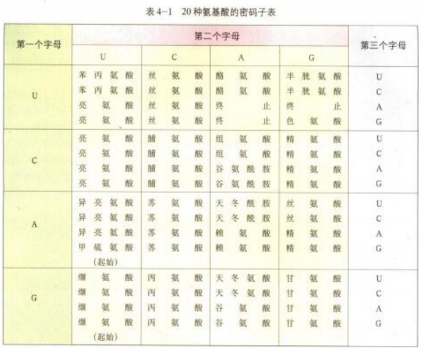 幼儿中小学面试,历年真题,教师资格证考试《高中生物专业面试》真题汇编