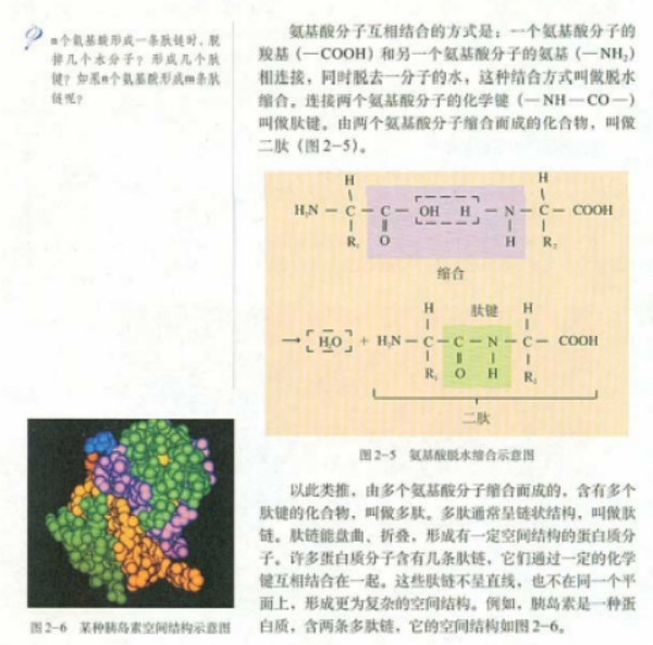 幼儿中小学面试,历年真题,教师资格证考试《高中生物专业面试》真题汇编