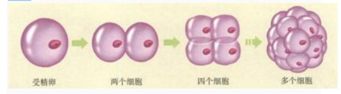 幼儿中小学面试,历年真题,教师资格证考试《初中生物专业面试》真题汇编