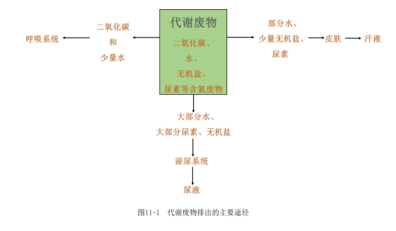 幼儿中小学面试,历年真题,教师资格证考试《初中生物专业面试》真题汇编