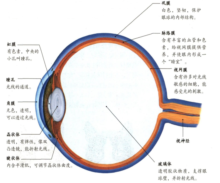 幼儿中小学面试,历年真题,教师资格证考试《初中生物专业面试》真题汇编