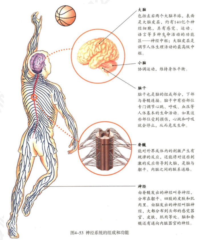 幼儿中小学面试,历年真题,教师资格证考试《初中生物专业面试》真题汇编