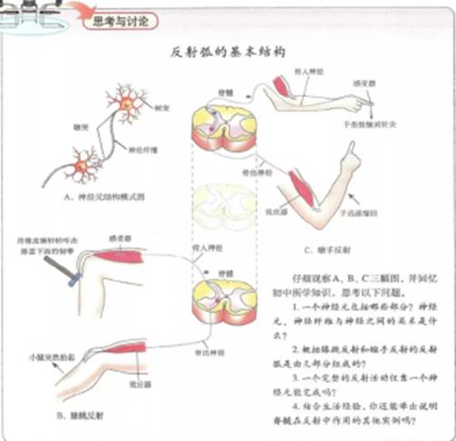 幼儿中小学面试,历年真题,教师资格证考试《高中生物专业面试》真题汇编