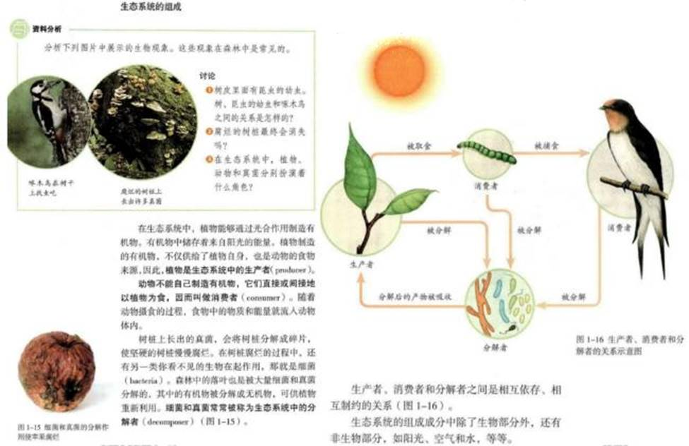 幼儿中小学面试,历年真题,教师资格证考试《初中生物专业面试》真题汇编