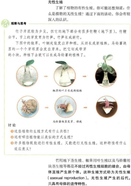 幼儿中小学面试,历年真题,教师资格证考试《初中生物专业面试》真题汇编