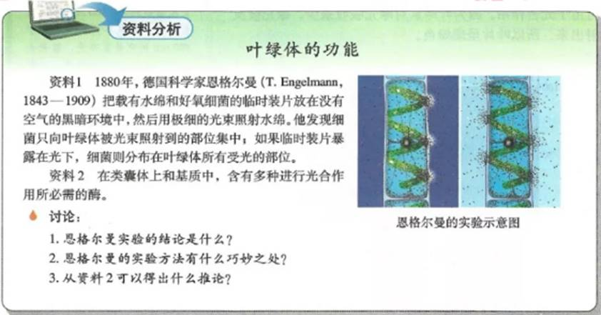 幼儿中小学面试,历年真题,教师资格证考试《高中生物专业面试》真题汇编