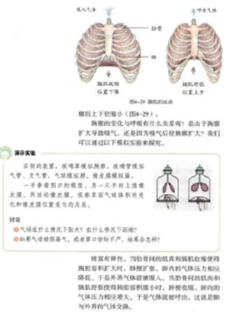 幼儿中小学面试,历年真题,教师资格证考试《初中生物专业面试》真题汇编