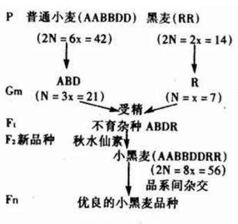 幼儿中小学面试,历年真题,教师资格证考试《高中生物专业面试》真题汇编