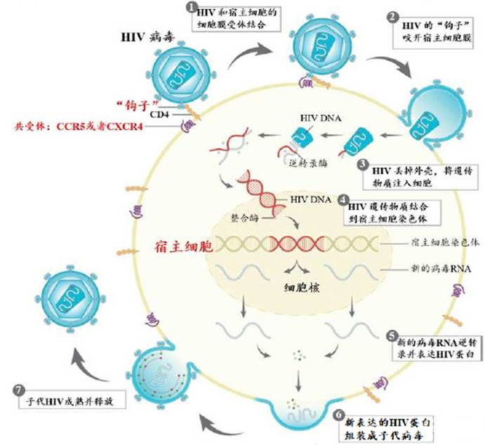 幼儿中小学面试,历年真题,教师资格证考试《高中生物专业面试》真题汇编