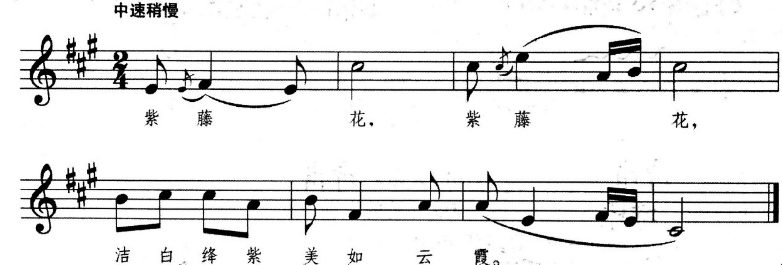 中学音乐学科知识与教学能力,章节练习,高中音乐学科