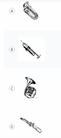 中学音乐学科知识与教学能力,真题专项训练,高中音乐