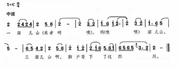 中学音乐学科知识与教学能力,真题专项训练,高中音乐