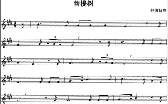 中学音乐学科知识与教学能力,章节练习,基础复习,初级中学