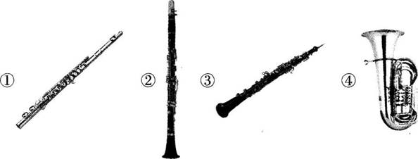 中学音乐学科知识与教学能力,章节练习,基础复习,初级中学