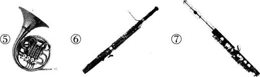 中学音乐学科知识与教学能力,章节练习,基础复习,初级中学