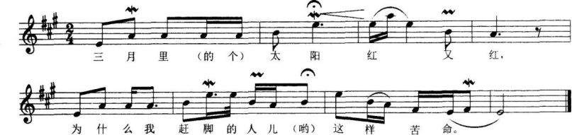 中学音乐学科知识与教学能力,章节练习,基础复习,初级中学 中学音乐学科知识与教学能力,章节练习,基础复习,初级中学