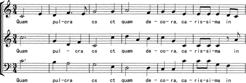 中学音乐学科知识与教学能力,章节练习,基础复习,初级中学