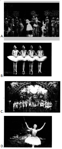 中学音乐学科知识与教学能力,章节练习,基础复习,高级中学