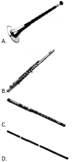 中学音乐学科知识与教学能力,章节练习,基础复习,高级中学