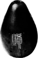 中学音乐学科知识与教学能力,章节练习,基础复习,高级中学 中学音乐学科知识与教学能力,章节练习,基础复习,高级中学