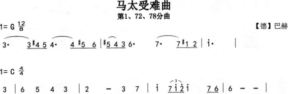 中学音乐学科知识与教学能力,章节练习,基础复习,高级中学