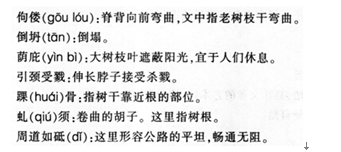 中学语文学科知识与教学能力,综合练习,中学语文学科知识与教学能力