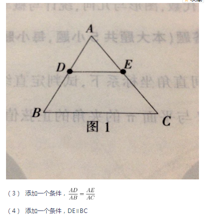 中学数学学科知识与教学能力,章节练习,基础复习,初中数学专项训练