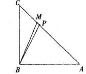 中学数学学科知识与教学能力,章节练习,基础复习,高级中学练习