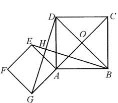中学数学学科知识与教学能力,专项训练,中学数学学科知识与教学能力
