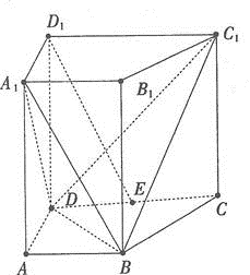 中学数学学科知识与教学能力,专项训练,数学学科知识