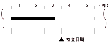 土木建筑目标控制,章节练习,建设工程进度控制