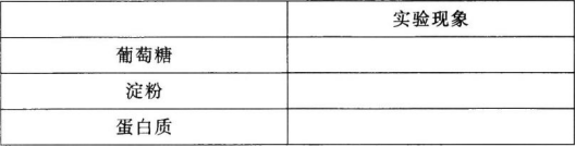 中学化学学科知识与教学能力,历年真题,2018下半年教师资格证考试《化学学科知识与教学能力》（高级中学）真题