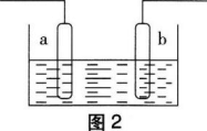 中学化学学科知识与教学能力,章节练习,基础复习,初级中学