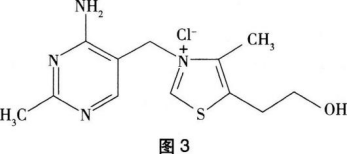 中学化学学科知识与教学能力,章节练习,基础复习,初级中学