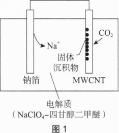 中学化学学科知识与教学能力,章节练习,基础复习,初级中学