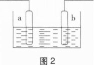 中学化学学科知识与教学能力,章节练习,基础复习,初级中学