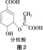 中学化学学科知识与教学能力,章节练习,基础复习,初级中学