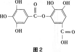 中学化学学科知识与教学能力,章节练习,基础复习,初级中学