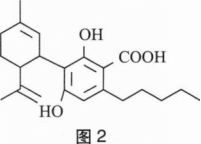 中学化学学科知识与教学能力,章节练习,基础复习,初级中学