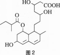 中学化学学科知识与教学能力,章节练习,基础复习,初级中学