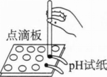 中学化学学科知识与教学能力,章节练习,基础复习,初级中学