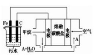 中学化学学科知识与教学能力,章节练习,基础复习,初级中学