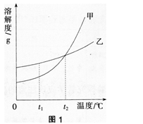 中学化学学科知识与教学能力,章节练习,基础复习,初级中学
