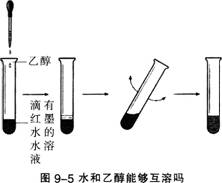 中学化学学科知识与教学能力,章节练习,基础复习,初级中学