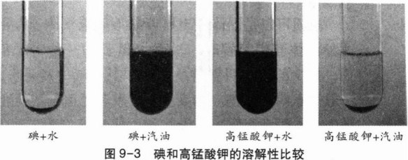 中学化学学科知识与教学能力,章节练习,基础复习,初级中学