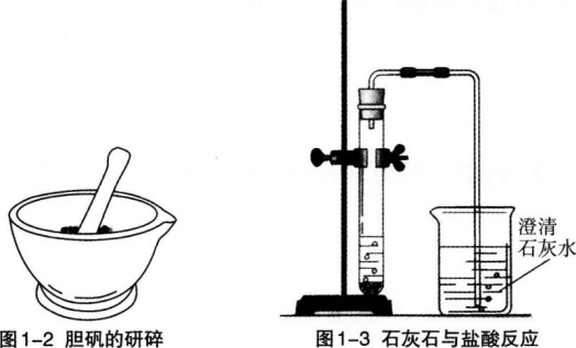 中学化学学科知识与教学能力,章节练习,基础复习,初级中学