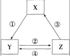 中学化学学科知识与教学能力,章节练习,基础复习,高级中学